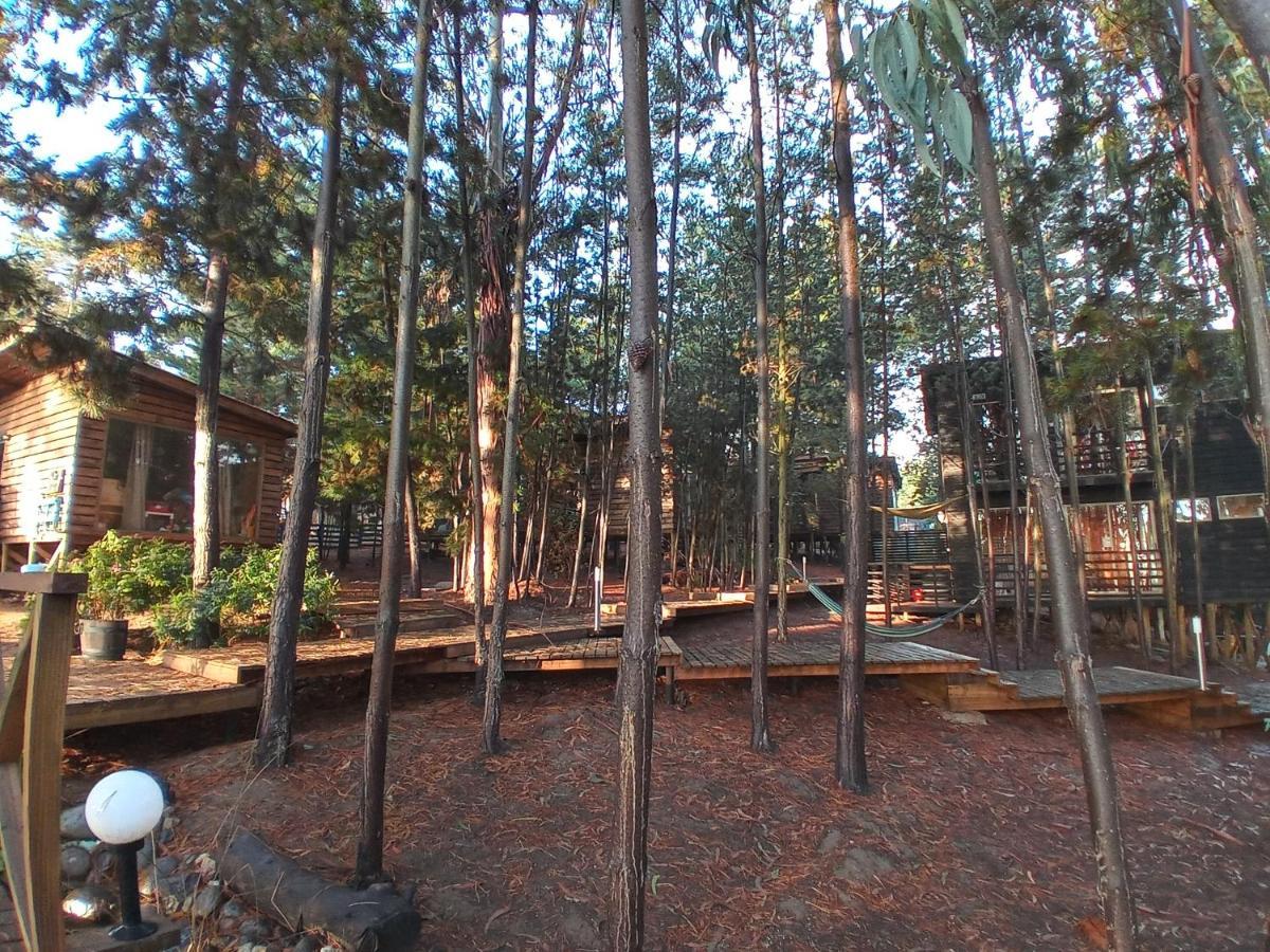 Lodge Terra Mar Pichilemu Esterno foto